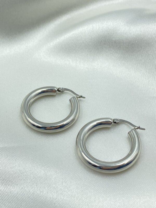 Big Juicy Hoops - Image 2