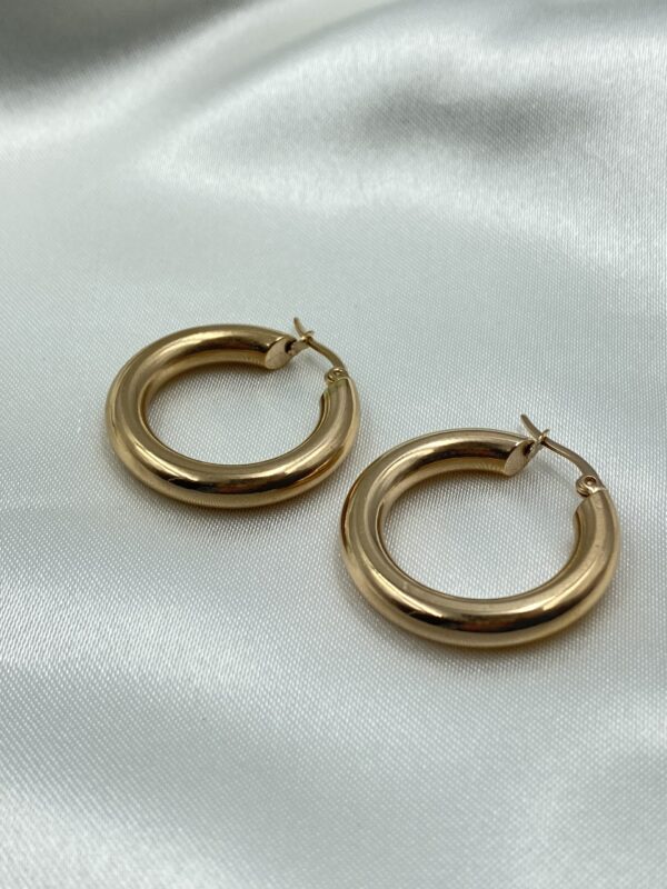 Big Juicy Hoops - Image 3