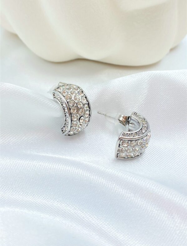 Flashy Earrings - Image 2