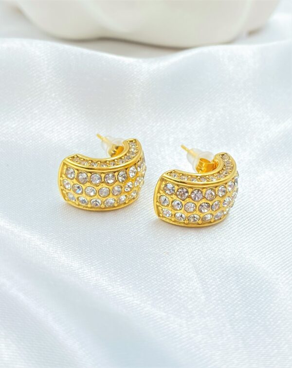 Flashy Earrings - Image 3