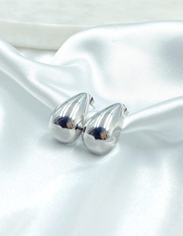 Chic Drop Earrings - Image 3